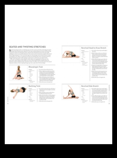 Stretching Symphony: Crearea de modele de mișcare armonioase cu flexibilitate