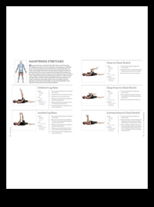 Stretching Symphony: Crearea de modele de mișcare armonioase cu flexibilitate